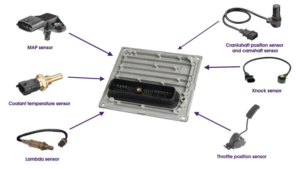 Engine Control Unit | ECU and TCU